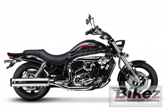 2010 Hyosung GV 650 photo